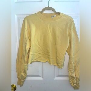 EUC DIVIDED CROP SWEATSHIRT